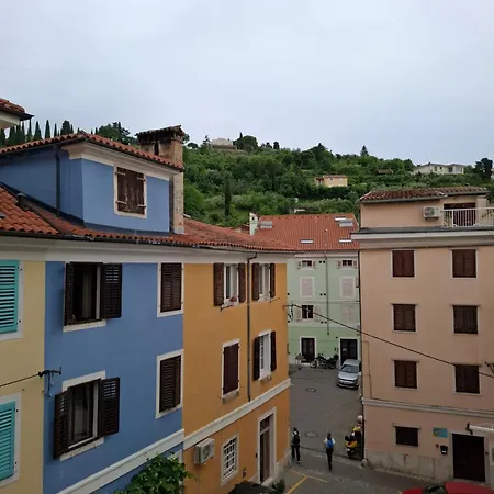 Apartman Bird Piran